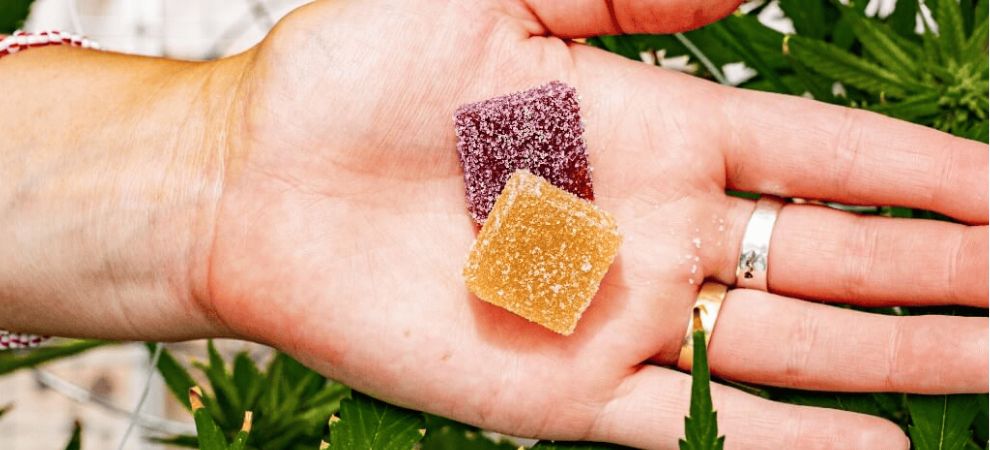 Understanding the difference between Delta 8 vs Delta 9 gummies will help you get the results you are seeking while saving money and your precious time! 