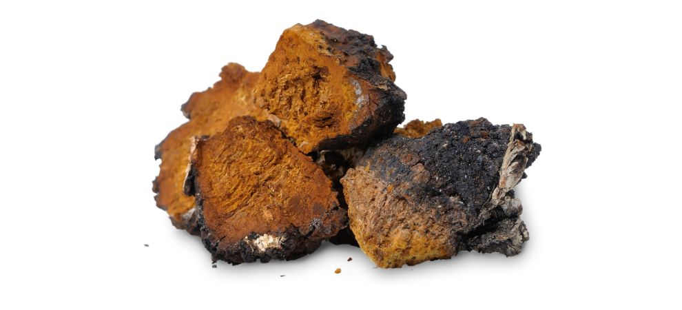 Chaga shrooms, another well-known functional mushroom can provide you with an antioxidant boost, a stronger immune system, and healthier skin. These functional mushrooms have powerful anti-inflammatory benefits.