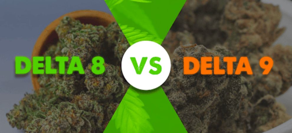 Before using Delta 8 disposables, let's put a few things straight! What is delta 8 and how does it differ from delta 9? Moreover, why would some people want to try a Delta 8 disposable vape pen instead of a Delta 9 one? 