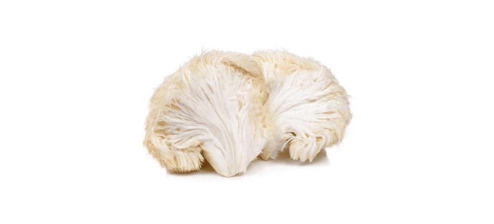 They have a unique shaggy appearance and even more special health effects. According to the experts, Lion's mane mushrooms can help support cognitive function, enhance overall mood, and support gut health. 