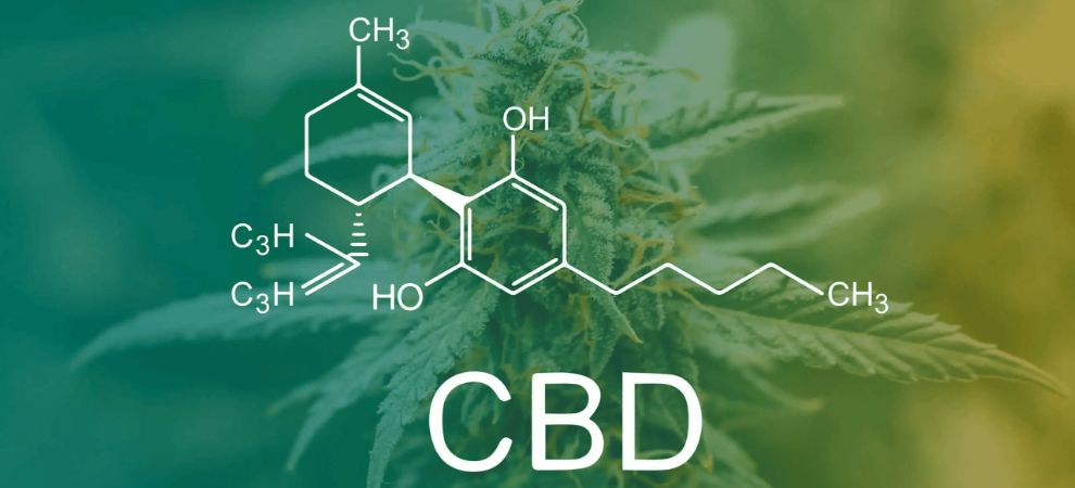 CBD stands for cannabidiol, a naturally occurring compound in the cannabis plant.
