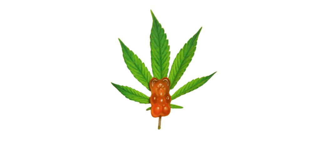 Low to moderate THC levels for gummies are ideal for avoiding Delta 9 gummies' side effects. 