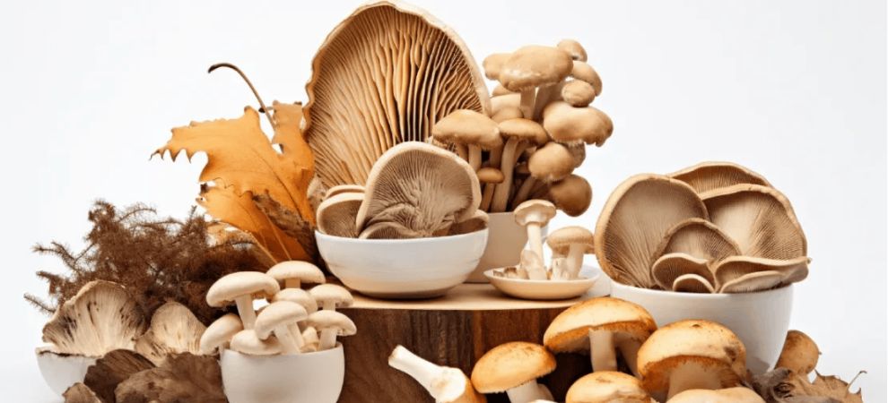 Make sure to only purchase functional mushrooms and other products (like delta 8 or delta 9 THC) from trusted and verified online sources. 