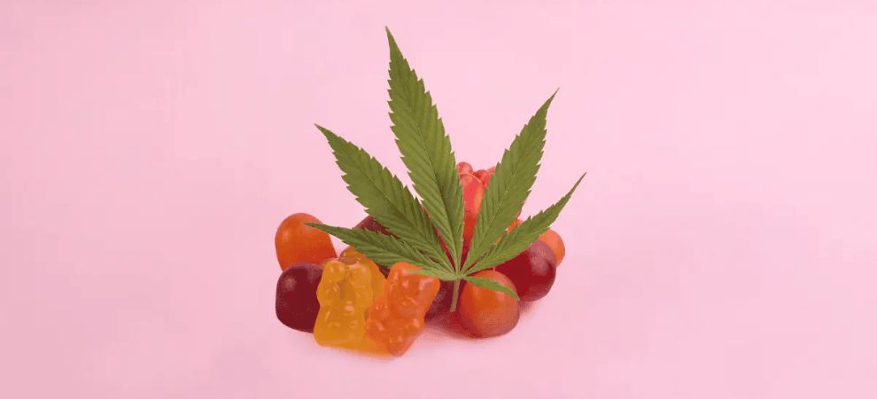 Delta 9 gummies can be safe when used responsibly and in moderation. 