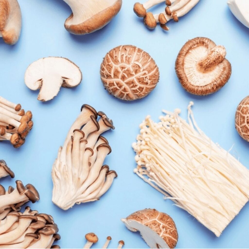 Explore the potential of functional mushrooms. Uncover the science behind functional mushrooms benefits & discover quality products for wellness.