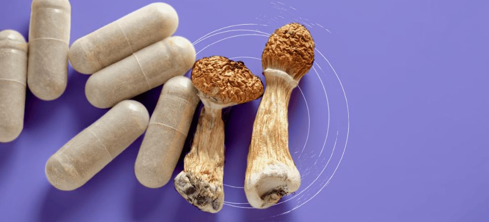 If you have been following the mushroom industry, you probably have encountered the term' nootropic.'