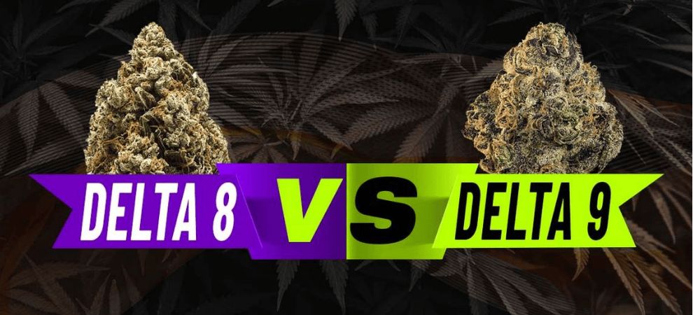 Moreover, when it comes to choosing between delta 9 vs delta 8, experts typically suggest the milder version of the compound for medical patients seeking mellow effects. 
