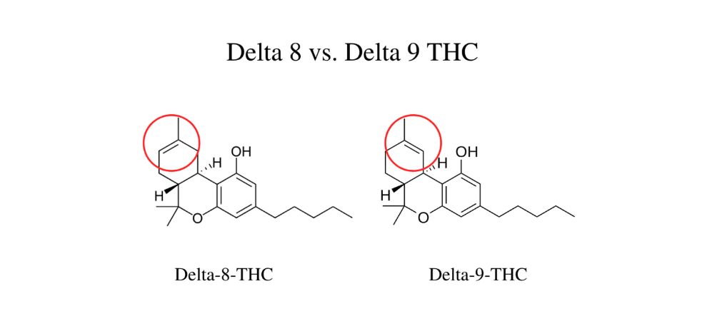 In states where cannabis consumption is legalized, you will find a variety of online dispensaries and local weed shops offering products with delta 9 vs delta 8. 