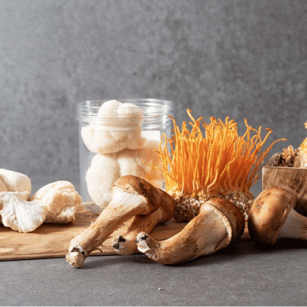 What are the best mushrooms for health? This guide outlines & discusses the best health mushrooms & their benefits to help you make a decision.