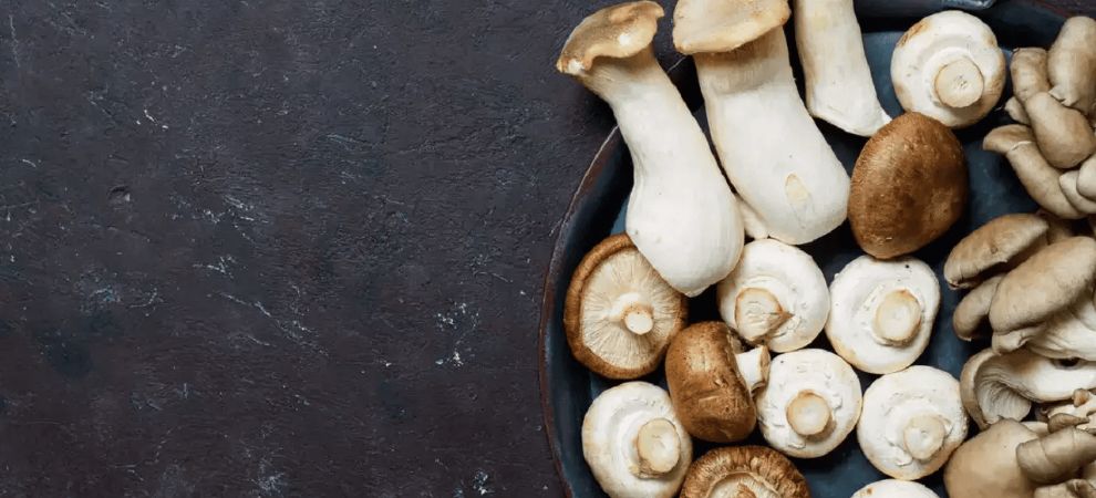 Functional mushrooms are defined as mushrooms that benefit our health and wellness.