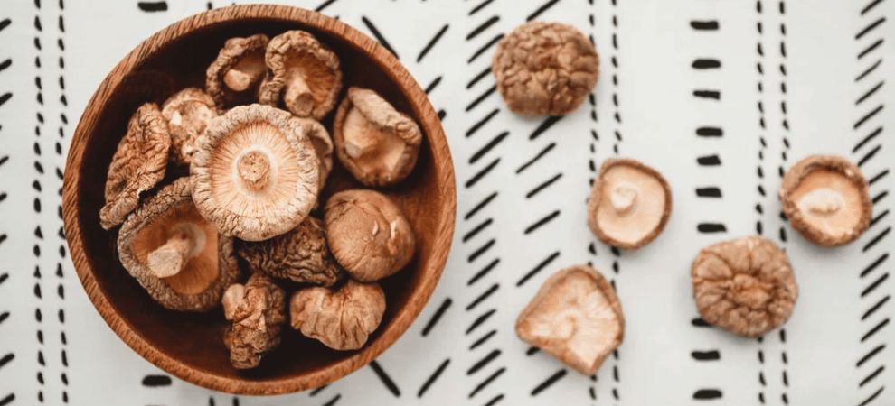 Functional mushrooms can either be medicinal or adaptogenic. All adaptogenic mushrooms are medicinal, but not all medicinal mushrooms are adaptogenic.