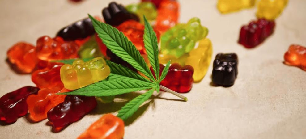 If you’ve read this far, it’s probably time for you to take the next step: buying premium yummy D8 gummies from a reputable cannabis store in Dallas, Texas.