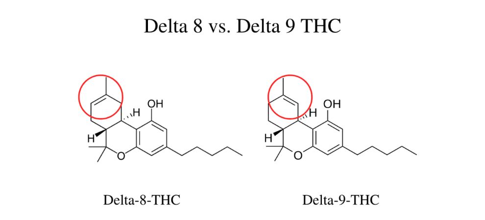 Now that you're aware of the answer to "Is Delta 9 stronger than Delta 8?", let's get more specific. What makes each cannabinoid special and how do they compare? 