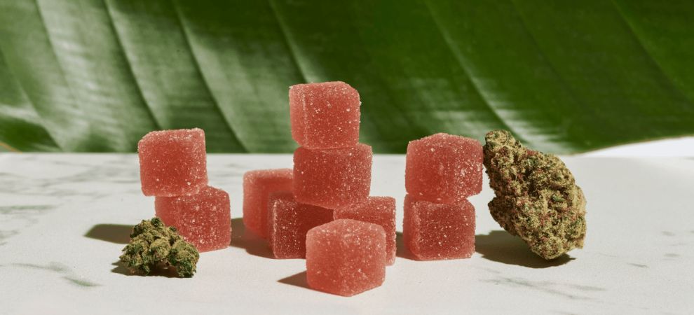 Delta 9 gummies deliver a once-in-a-lifetime experience that you can't compare to vaping or smoking weed. 