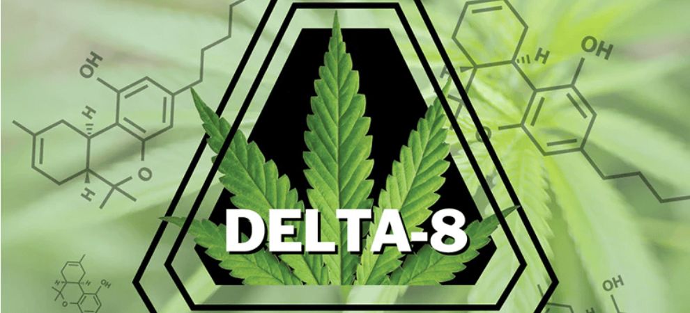 Delta 8 THC is a major cannabinoid in the marijuana and hemp plants. 