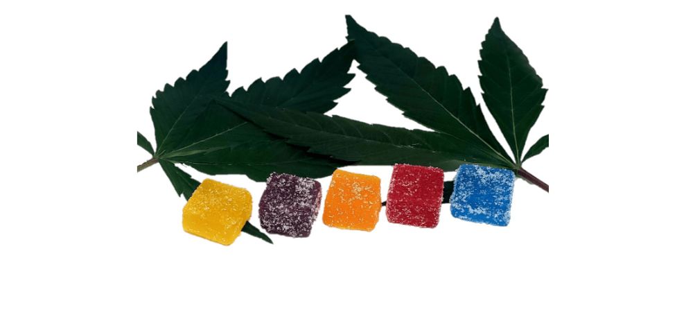 Delta 9 gummies for sale in Dallas, Fort Worth, are made with hemp extract and may contain other cannabinoids, terpenes, and compounds. 
