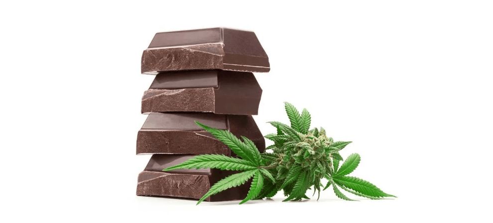 Now, the best delta 9 edibles are vastly different from delta 8. Here are the main differences between delta 9 edibles and delta 8.