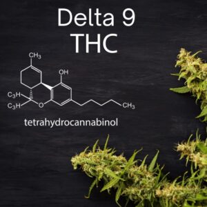 How long does Delta 9 stay in the system? Find out how long it takes before your urine & blood test negative for Delta 9. No more fear for drug tests!