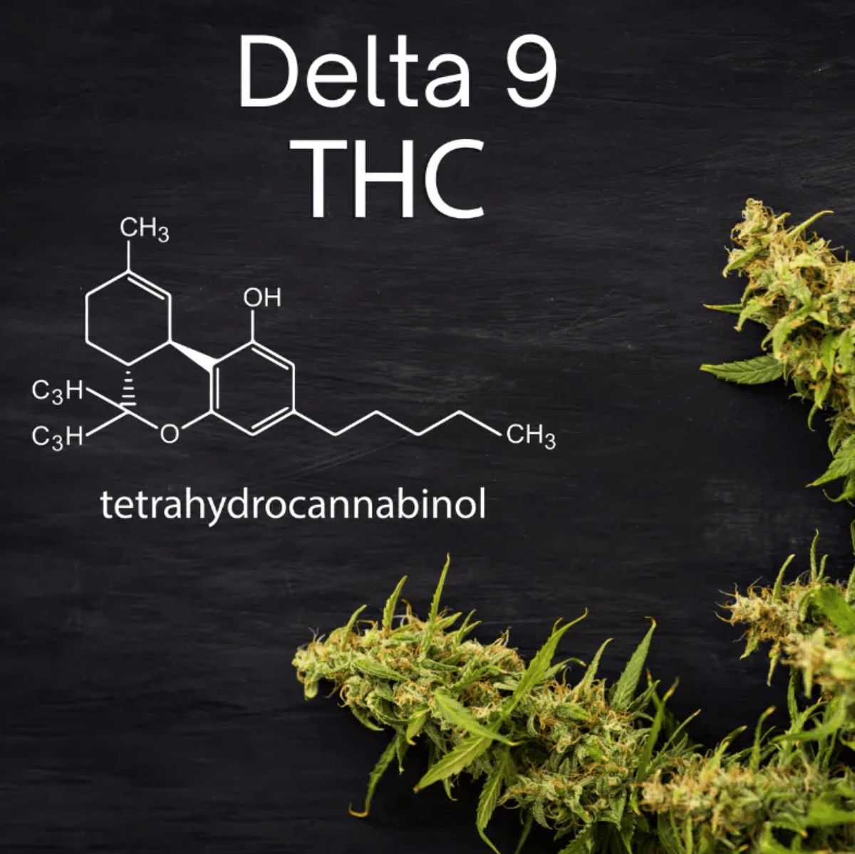 How Long Does Delta 9 Stay In The System