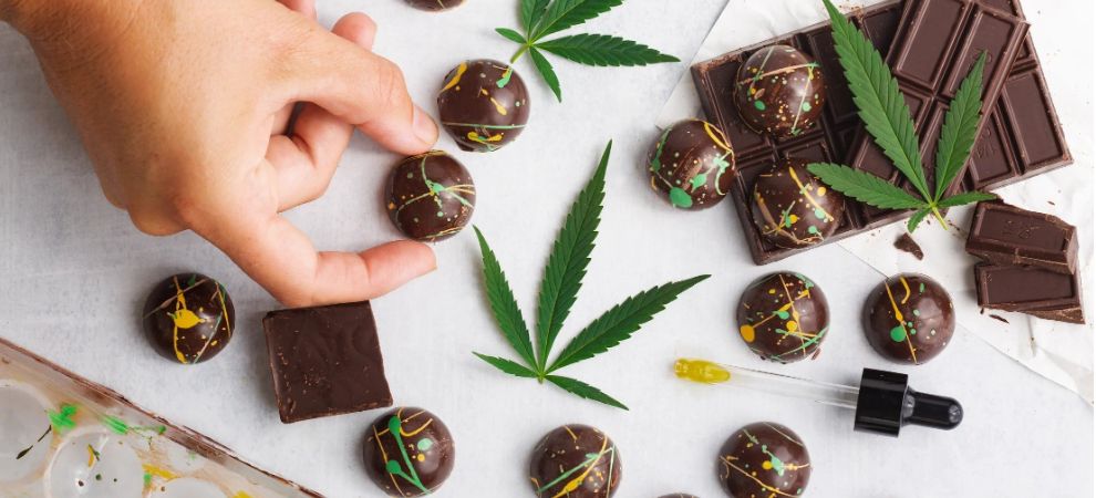 Essentially, cannabis gummies are delectable food products infused with various levels of cannabinoids, the active compounds in marijuana that produce a "high" sensation. 