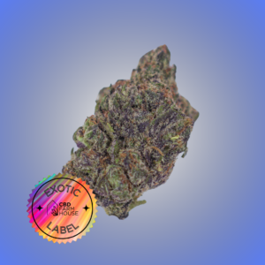 CBD Farmhouse - Exotic Label High THCA Flower - Gushers