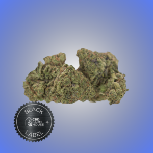 CBD Farmhouse - Black Label High THCA Flower - Italian Ice