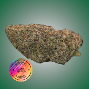 CBD Farmhouse - Exotic Label High THCA Flower - Wendy P